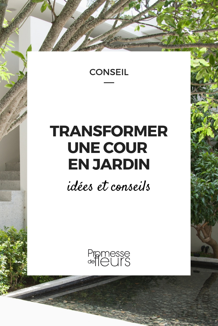 Turning a Courtyard into a Garden