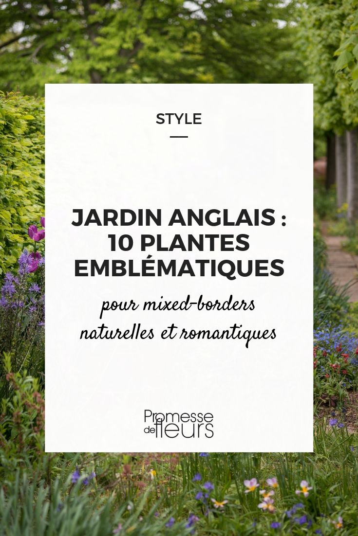 English Gardens and Their Plants
The quintessential English garden is a harmonious blend of structure and spontaneity, famed for its lush green lawns, meandering paths, and an eclectic mix of flowers. In this article, we will explore some of the most beloved plants that are essential to achieving that picturesque English garden charm.
1. Roses (Rosa spp.)
No English garden is complete without the presence of roses. These classic flowers bring a romantic flair and are available in numerous varieties, each with its own unique colour and fragrance. Climbing roses are particularly effective for creating floral displays on walls and arches.
2. Lavender (Lavandula)
Lavender is cherished not only for its delightful fragrance but also for its ability to attract pollinators like bees and butterflies. This hardy plant adds a splash of purple and is excellent for borders or as a low hedge.
3. Hydrangeas (Hydrangea)
With their large, vibrant blooms, hydrangeas are a favourite in English gardens. They thrive in the dappled shade and can add a burst of colour ranging from blue to pink, depending on the soil's acidity.
4. Foxgloves (Digitalis)
Tall and stately, foxgloves are perfect for adding height and drama to a garden. Their bell-shaped flowers are a magnet for bees and add a touch of woodland wonder to any setting.
5. Delphiniums
Known for their majestic spires of blue flowers, delphiniums are ideal for creating a backdrop or for adding vertical interest in the garden. They pair beautifully with other traditional English garden plants like roses and lavender.
6. Geraniums (Pelargonium)
Often used in hanging baskets and window boxes, geraniums are versatile and colourful. Their ease of care and ability to bloom throughout the summer make them a popular choice for gardeners.
Creating an English garden involves more than just planting a collection of flowers. It's about crafting a landscape that invites you to stroll and appreciate the beauty and tranquillity of nature. Whether you're an experienced gardener or a beginner, incorporating these plants will help you cultivate a slice of English garden charm in your own backyard. Young Plants for an English Garden