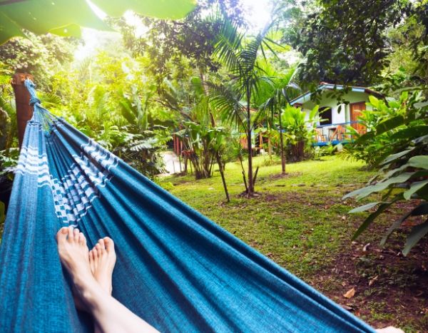 Prepare your garden for the holidays: everything you need to do before you go!