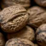 Walnut, <em>Juglans regia</em>: planting, pruning and care