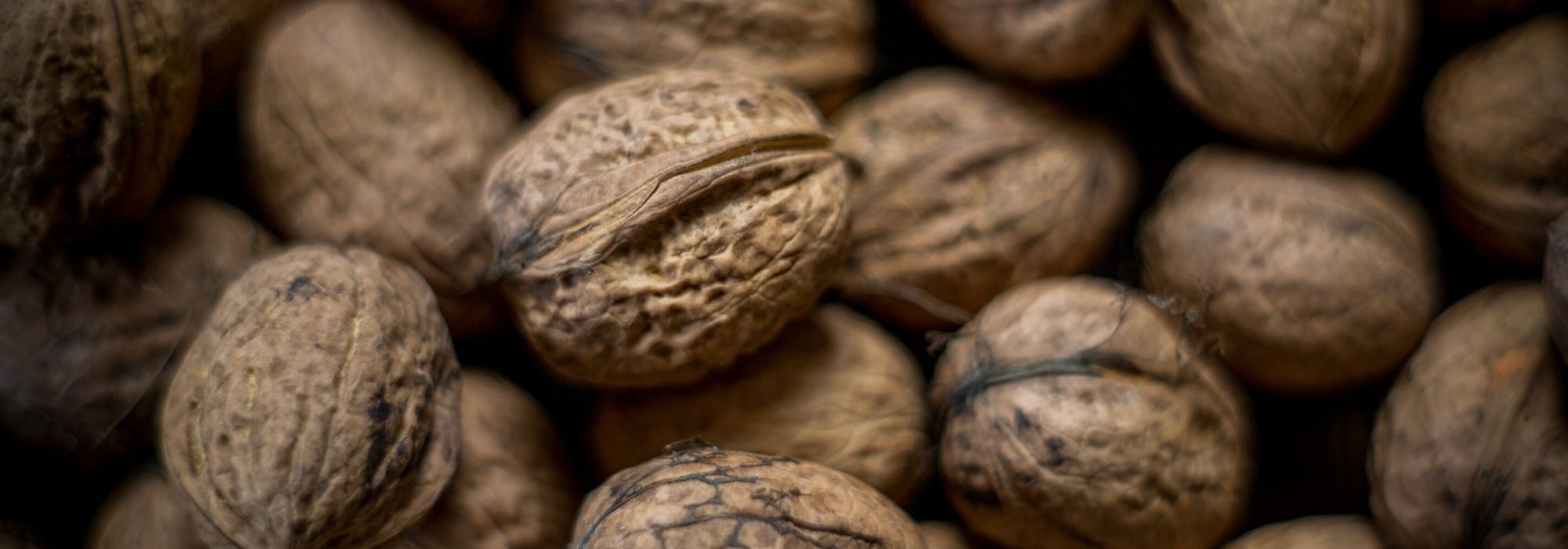 Walnut, <em>Juglans regia</em>: planting, pruning and care