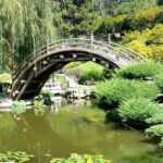 7 plant combinations for Japanese gardens