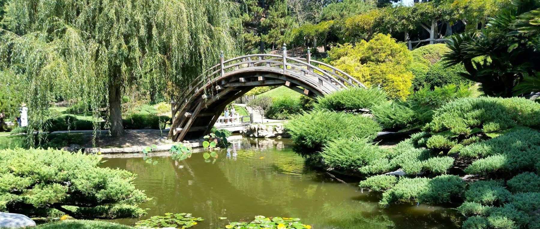 7 plant combinations for Japanese gardens