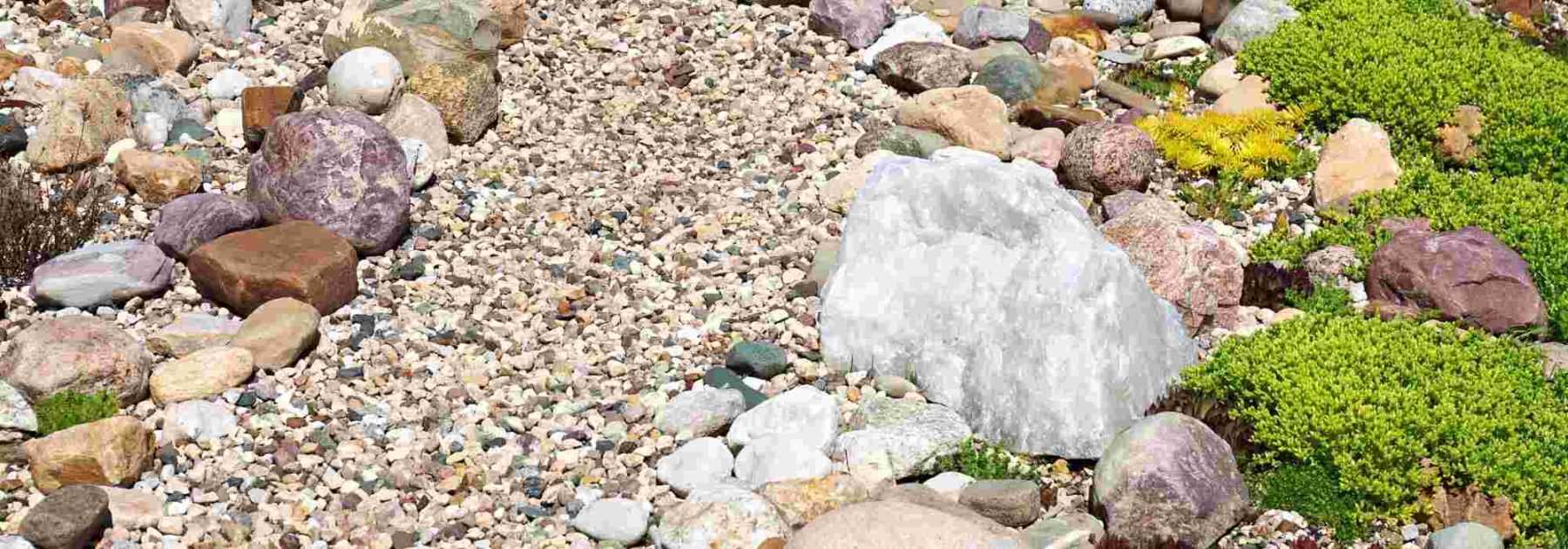 Lay out a gravel garden