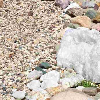 Lay out a gravel garden