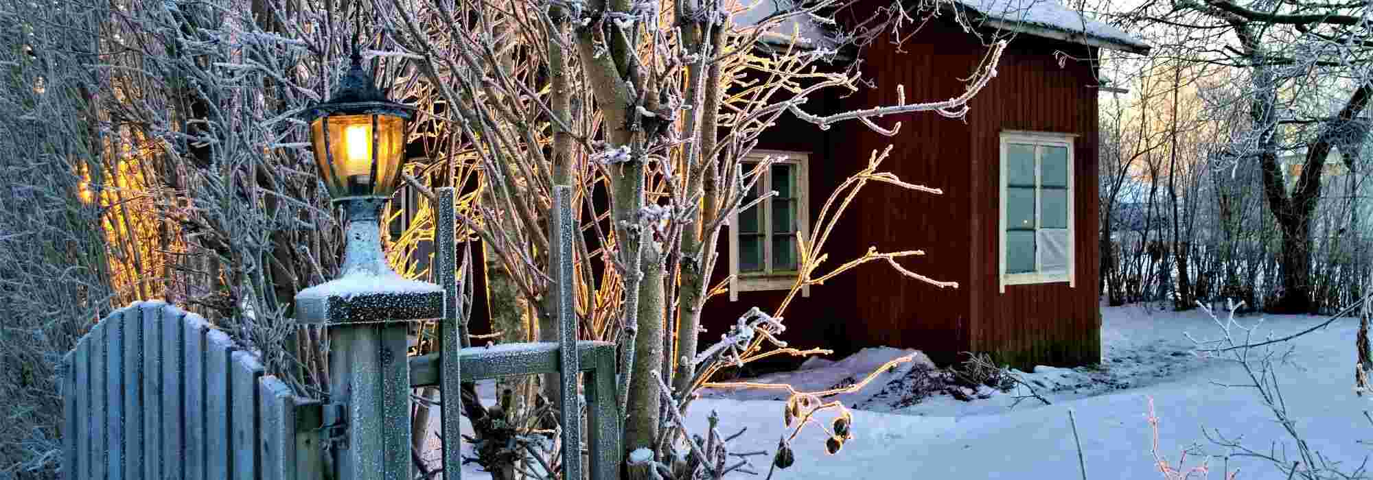 What to do in the garden in winter?