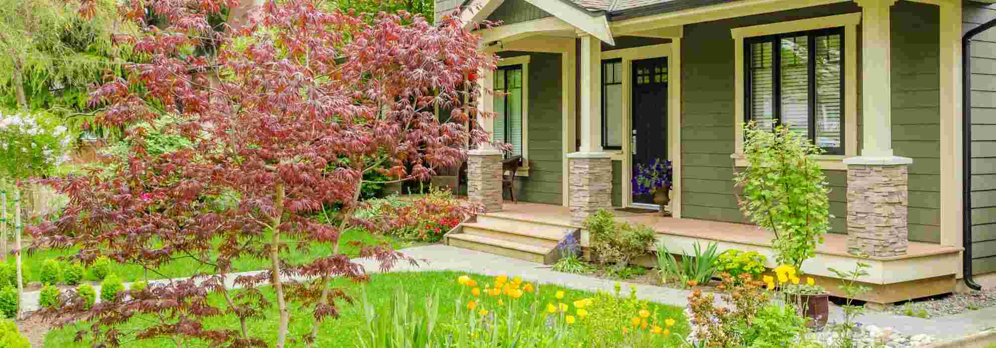 Designing a garden in front of a house
