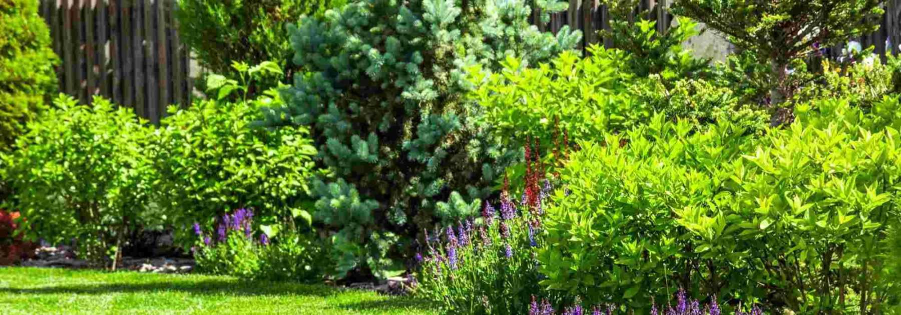Garden on a housing estate: how to lay out and personalise it