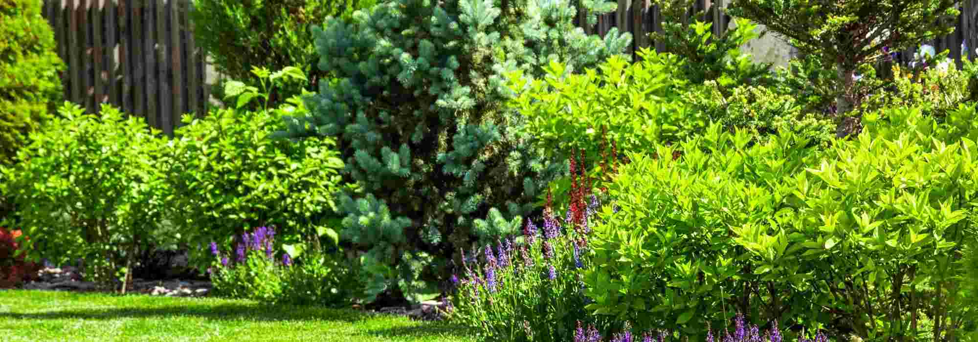 Garden on a housing estate: how to lay out and personalise it