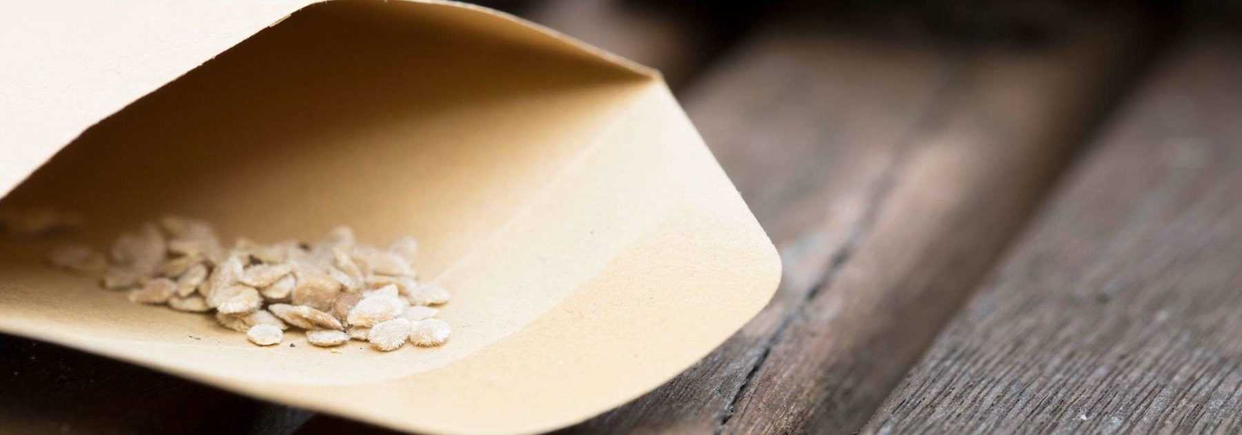 Storing vegetable seeds