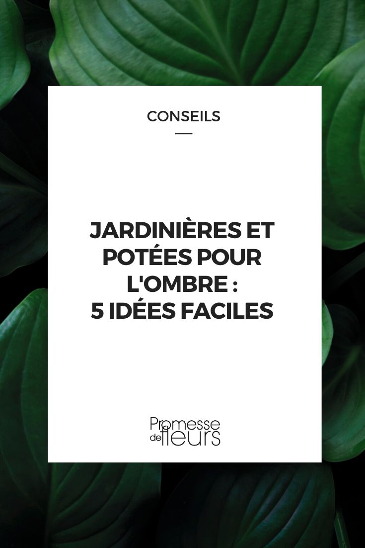 Shade Container Gardening Ideas for Shady Planters