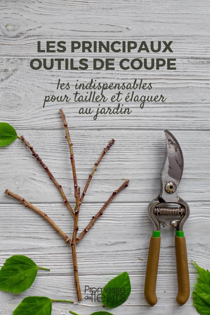Garden Pruning and Cutting Tools