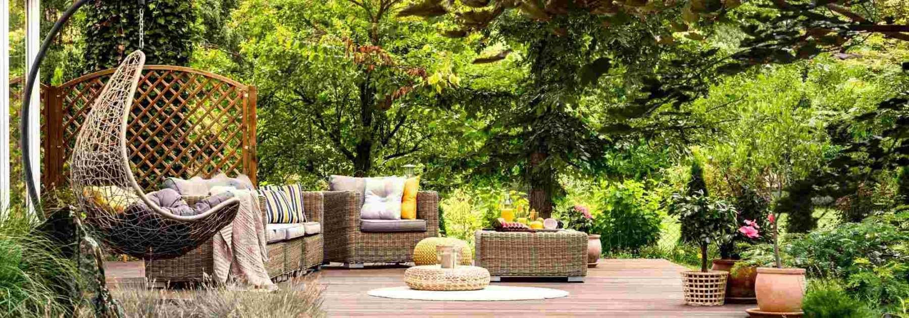 Which trees should not be planted near a terrace?