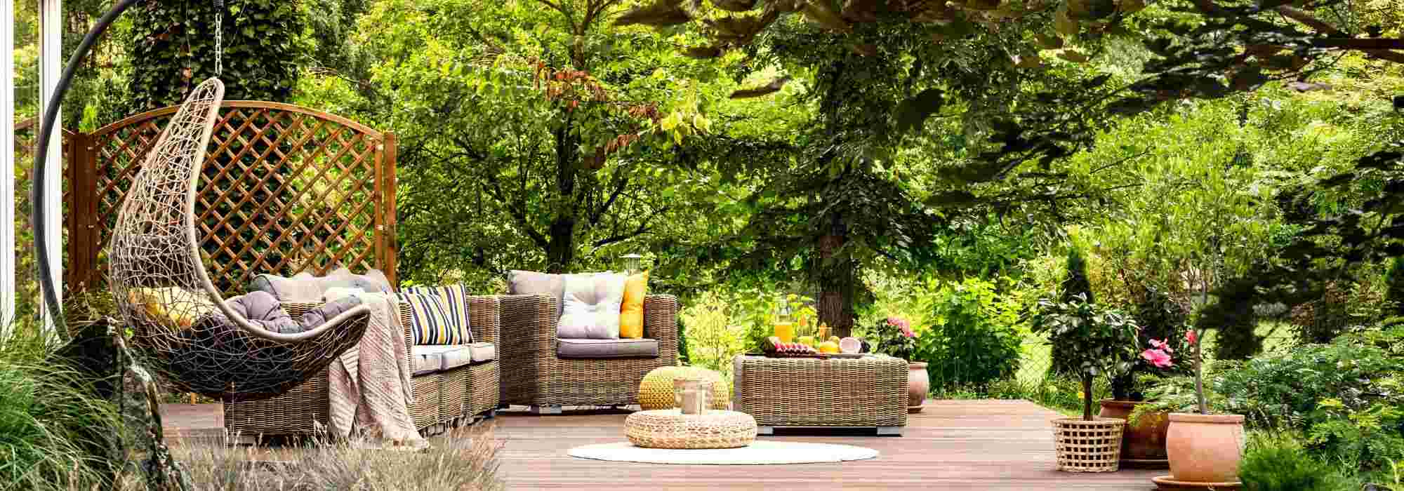 Which trees should not be planted near a terrace?