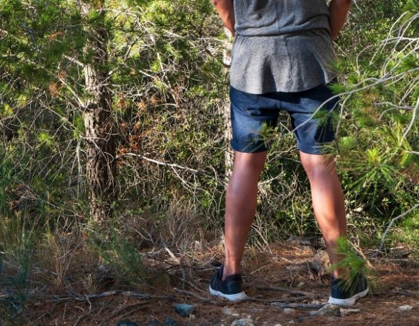 Urine in the garden: such a good idea?