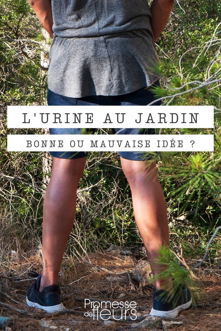 Apologies, but it seems there might be a misunderstanding or an error in the input provided. Could you please clarify or provide more context so I can assist you effectively? Using Urine in the Garden