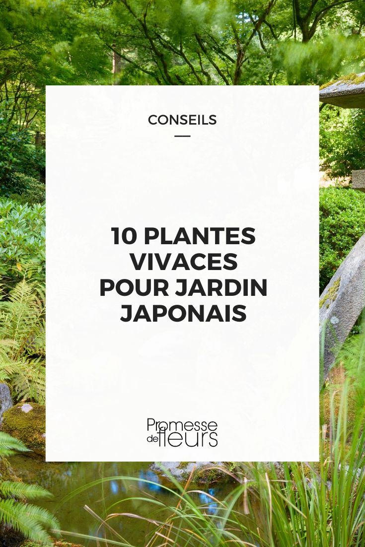 Perennial Plants for a Japanese Garden Japanese Garden: 10 Ideal Perennial Plants