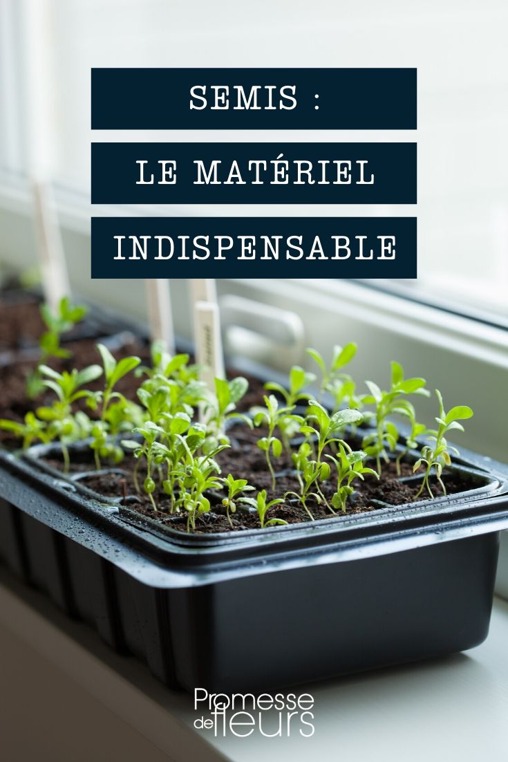 Sowing: Essential Equipment and Useful Accessories
