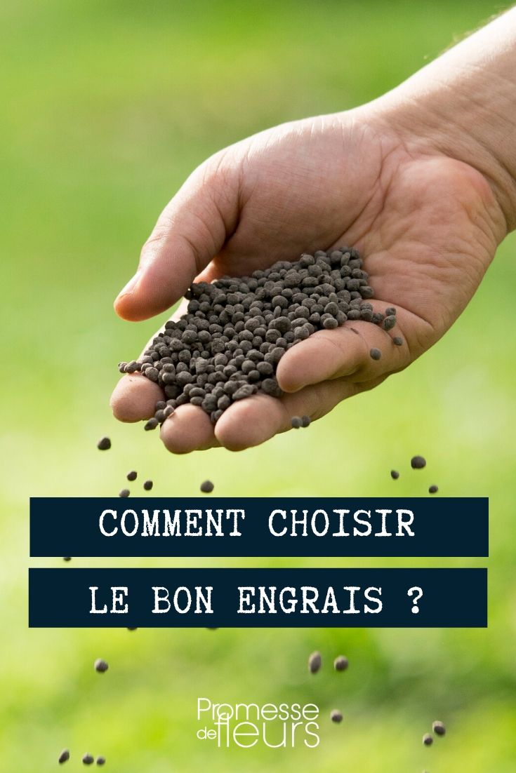 Choosing Fertilisers Fertilisers: Which One to Choose?