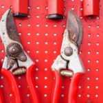 Choosing the right pruning shear