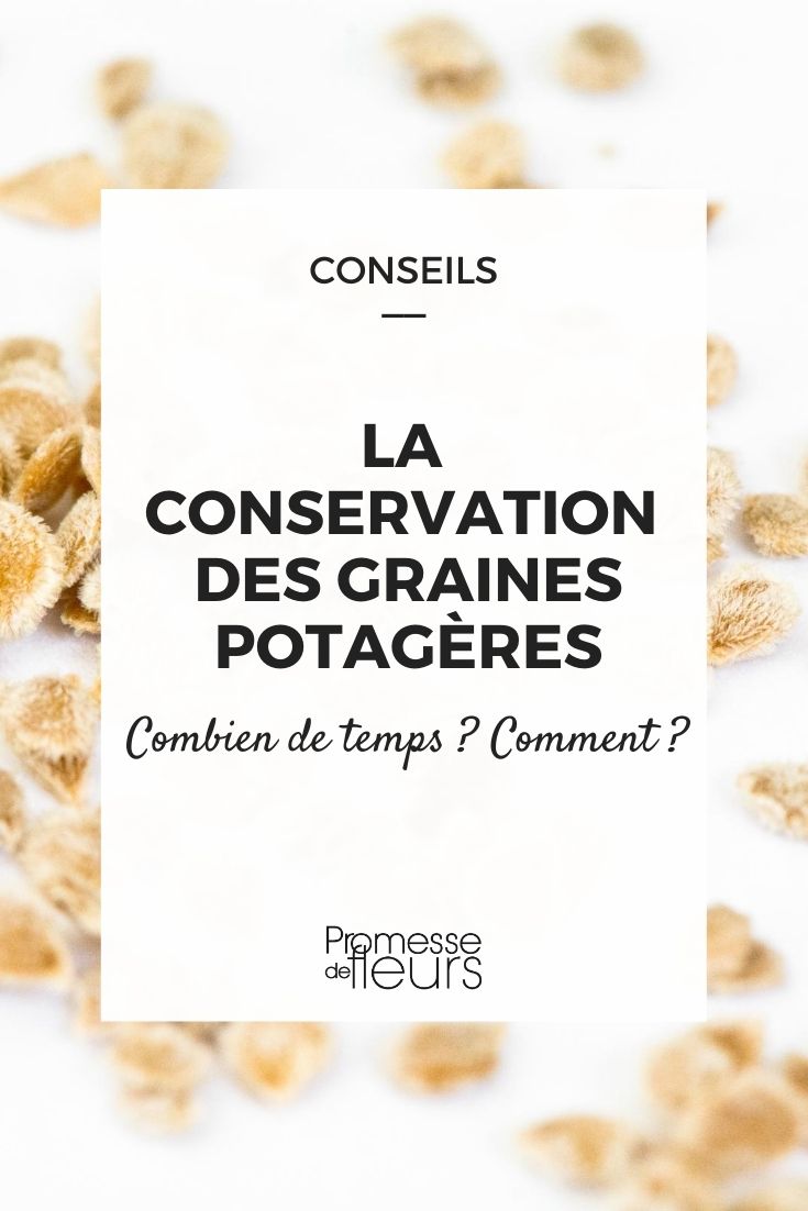 Preserving Vegetable Seeds: How and For How Long?
