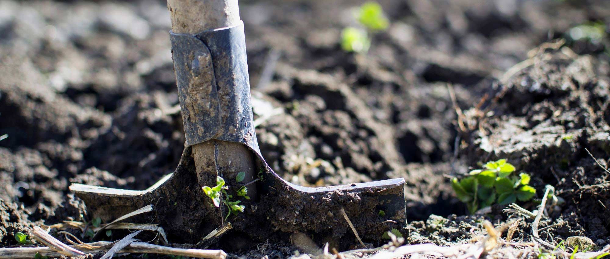 Fertiliser or soil amendment: what's the difference?