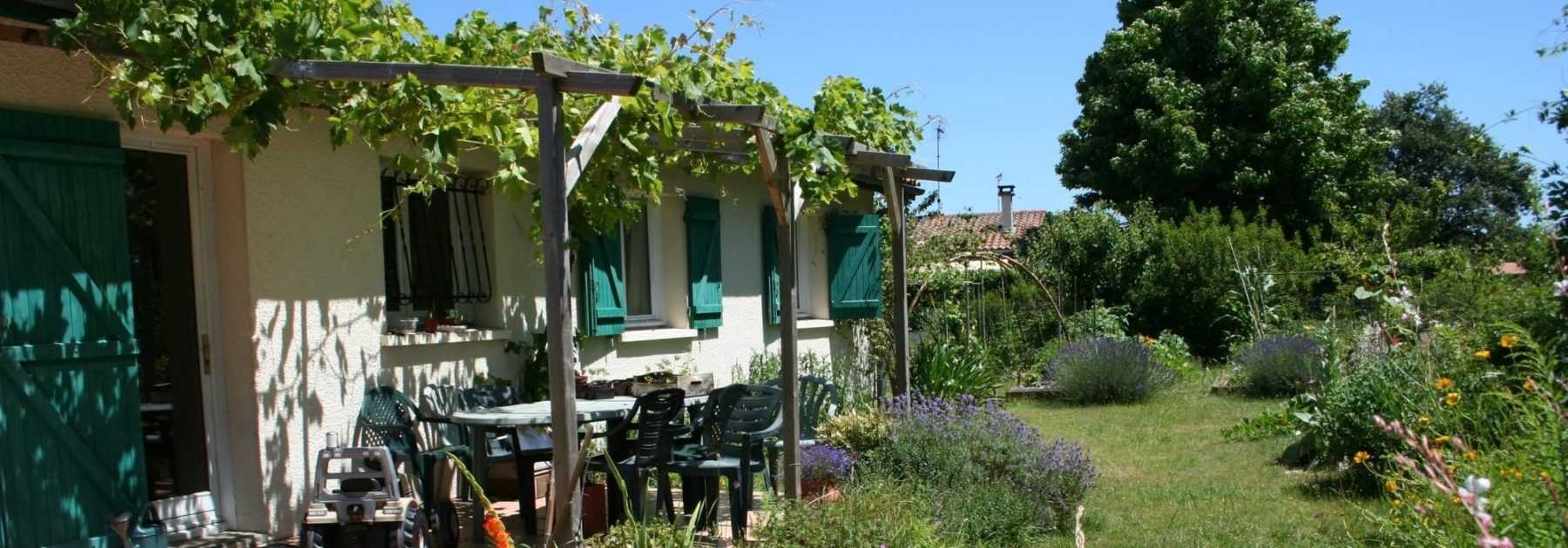 Shading a terrace: which plants to choose?