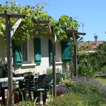 Shading a terrace: which plants to choose?