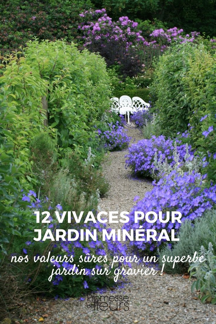 Selection of Perennials for a Gravel Garden