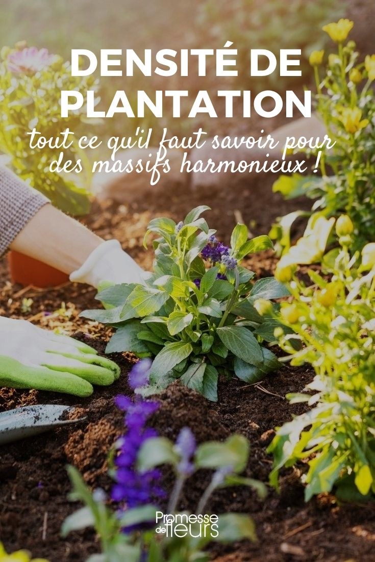 Planting Density
