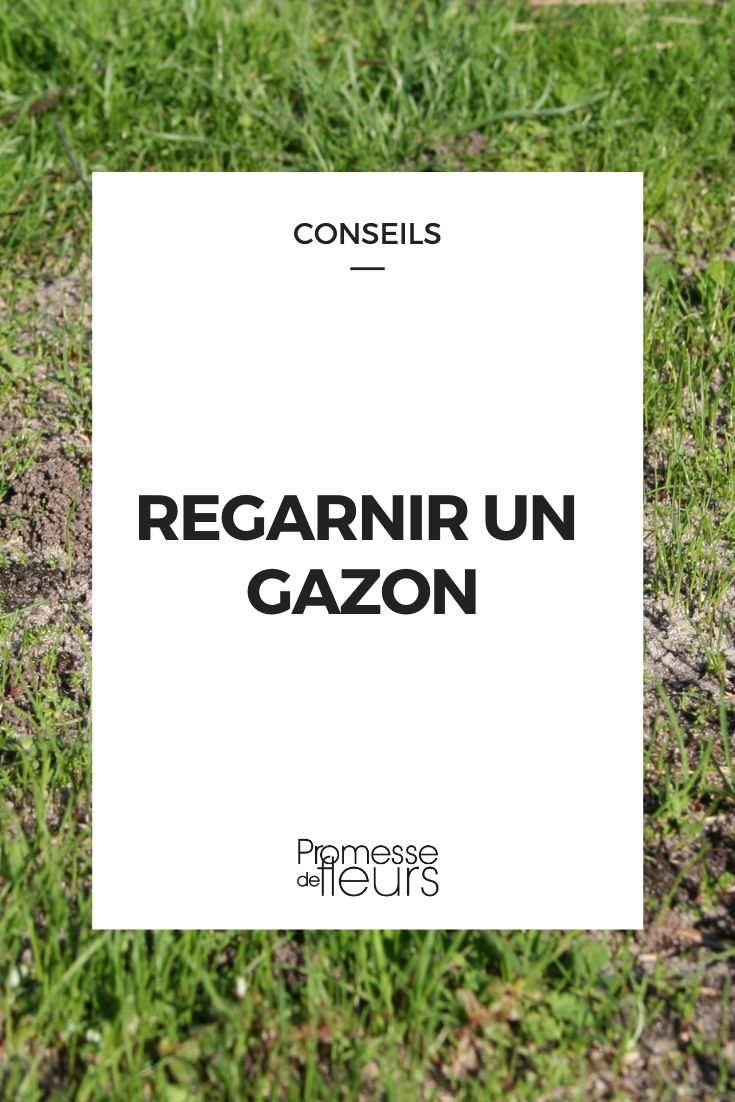Reseeding a Lawn (1) How to Rejuvenate a Lawn? Our Advice