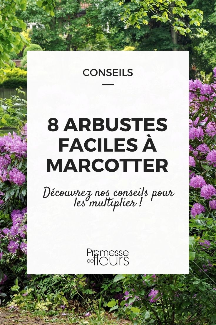 8 Easy-to-Layer Bushes