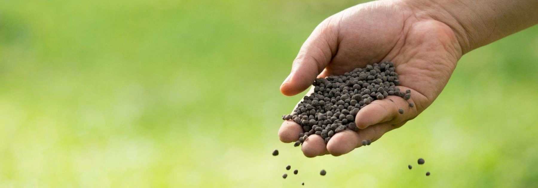Crushed horn, dried blood, guano... what are these fertilisers used for in the garden and vegetable patch?