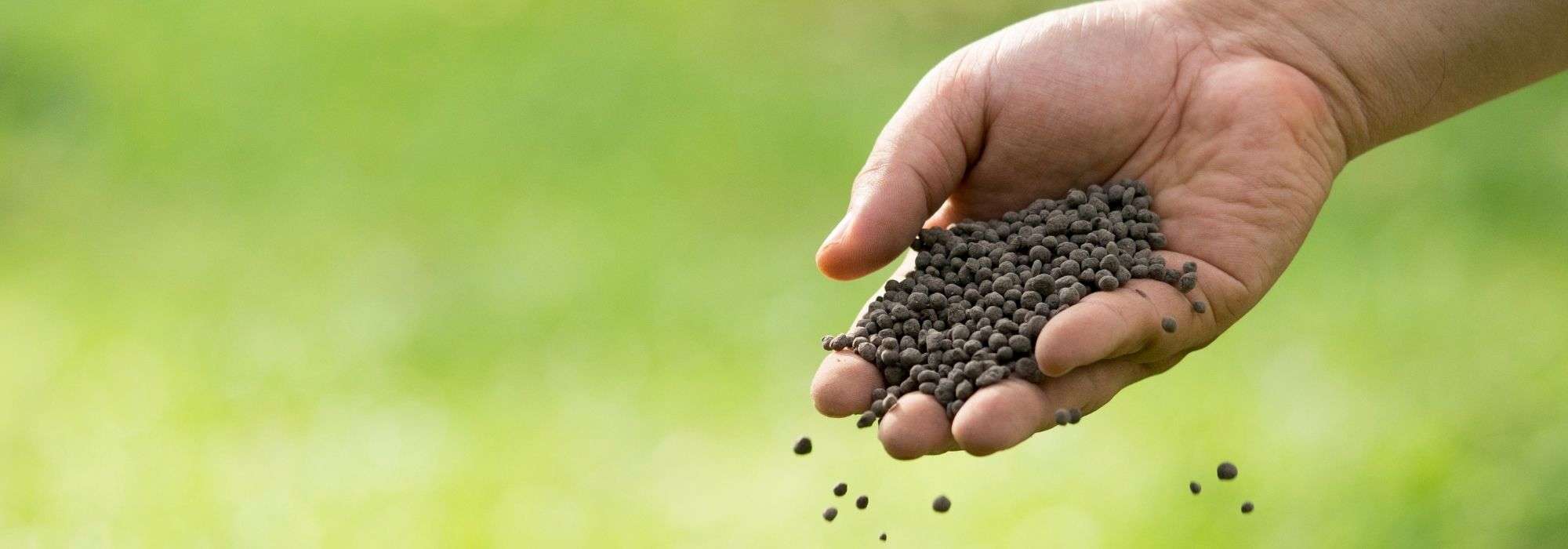 Crushed horn, dried blood, guano... what are these fertilisers used for in the garden and vegetable patch?