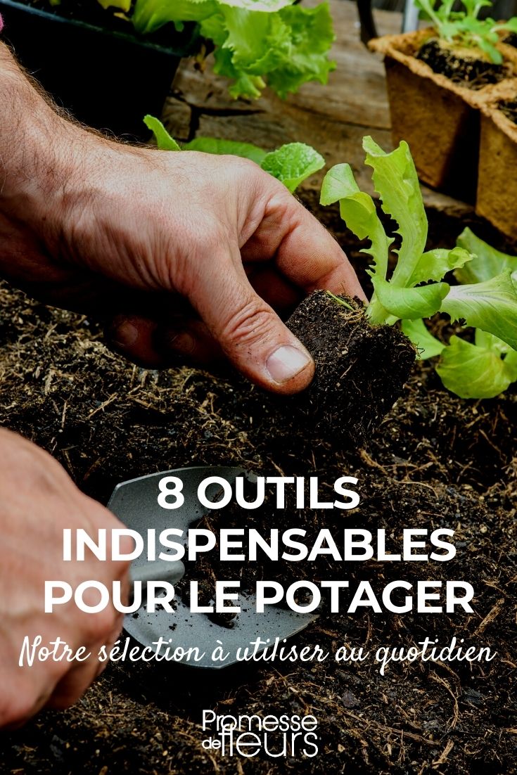 8 Tools for the Vegetable Garden 8 Essential Garden Tools