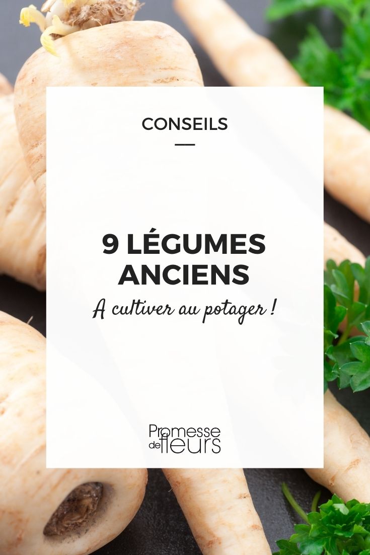 9 Ancient Vegetables Our Selection of Heritage Vegetables
