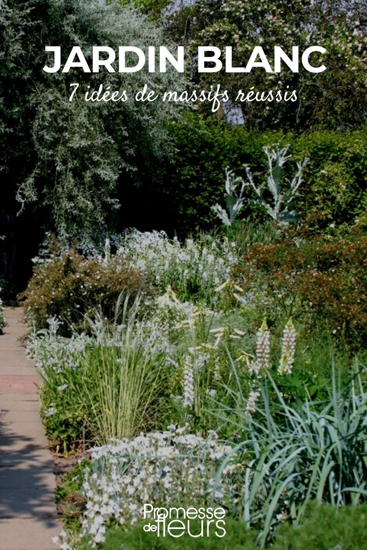 white garden borders white garden