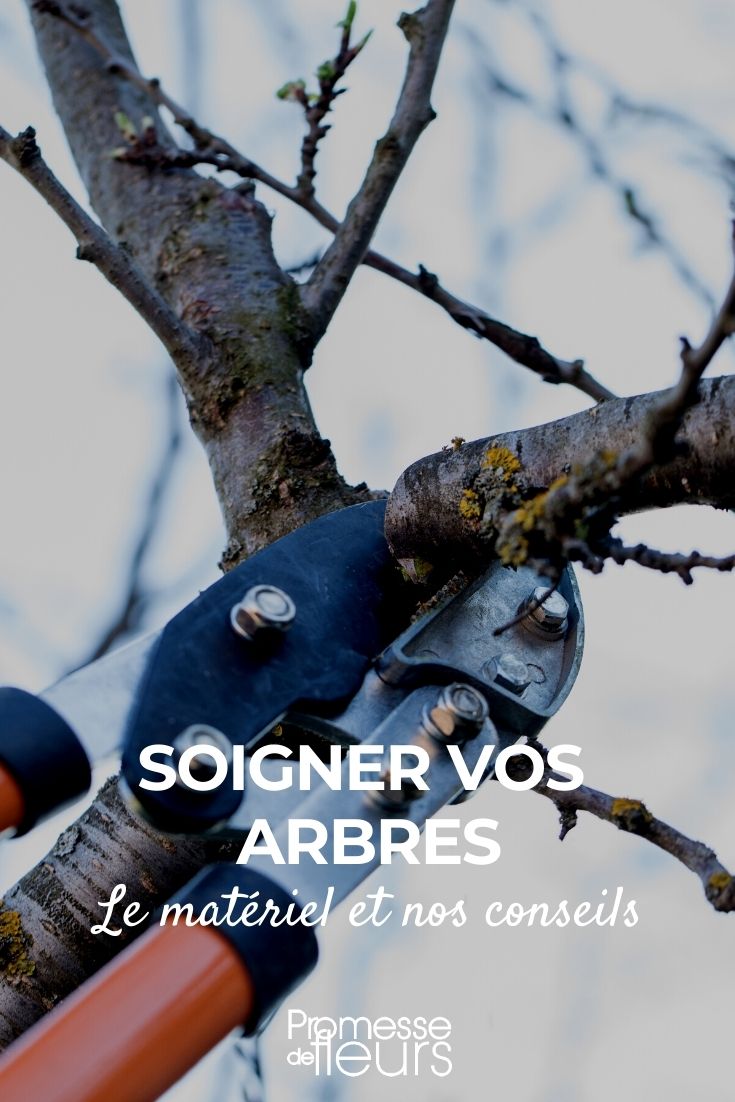 Caring for Trees