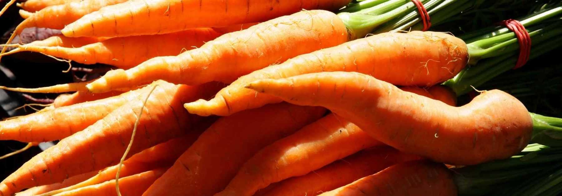 8 early vegetables