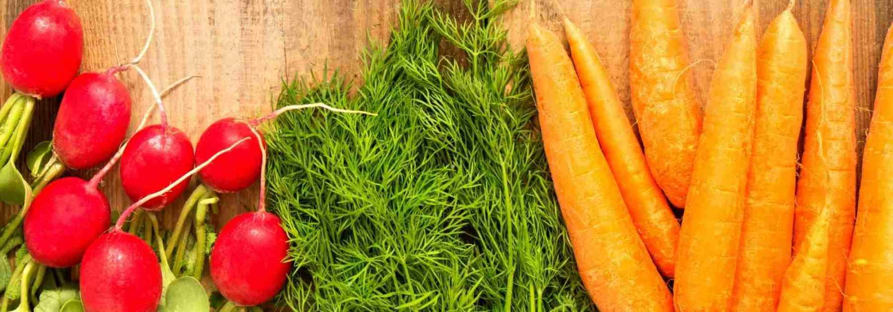 How to grow early vegetables