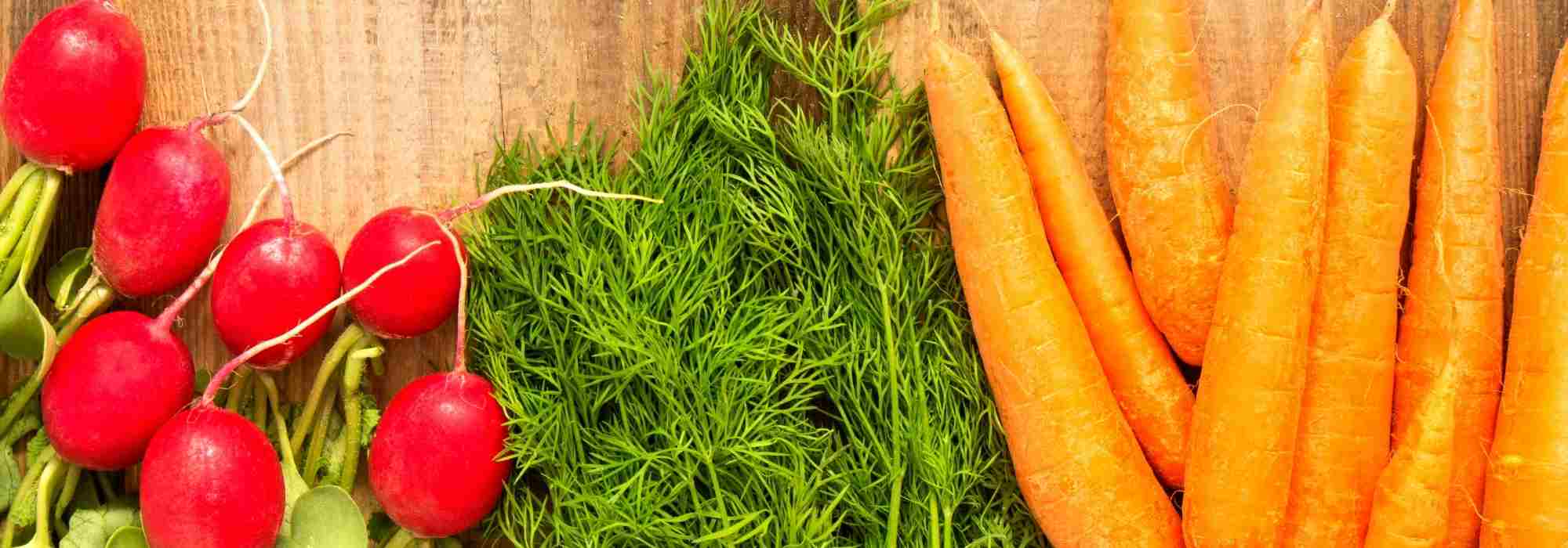 How to grow early vegetables?
