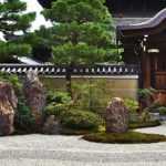 Japanese garden: 10 iconic bushes