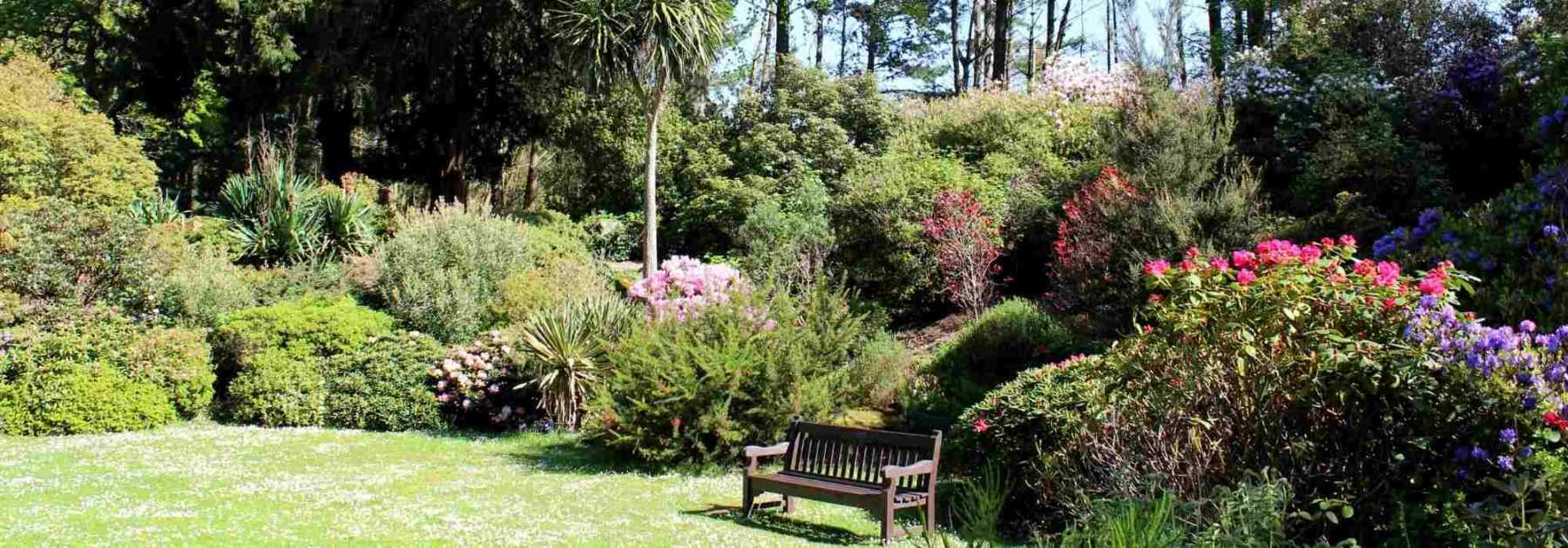 What to plant in an already full garden?