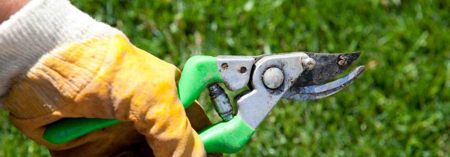 7 time-saving tools