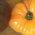 Best heirloom tomatoes