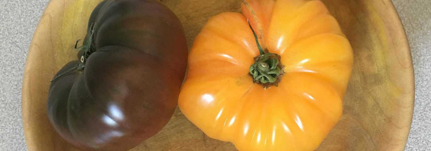 Best heirloom tomatoes