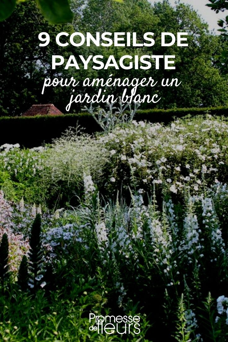 Designing a White Garden