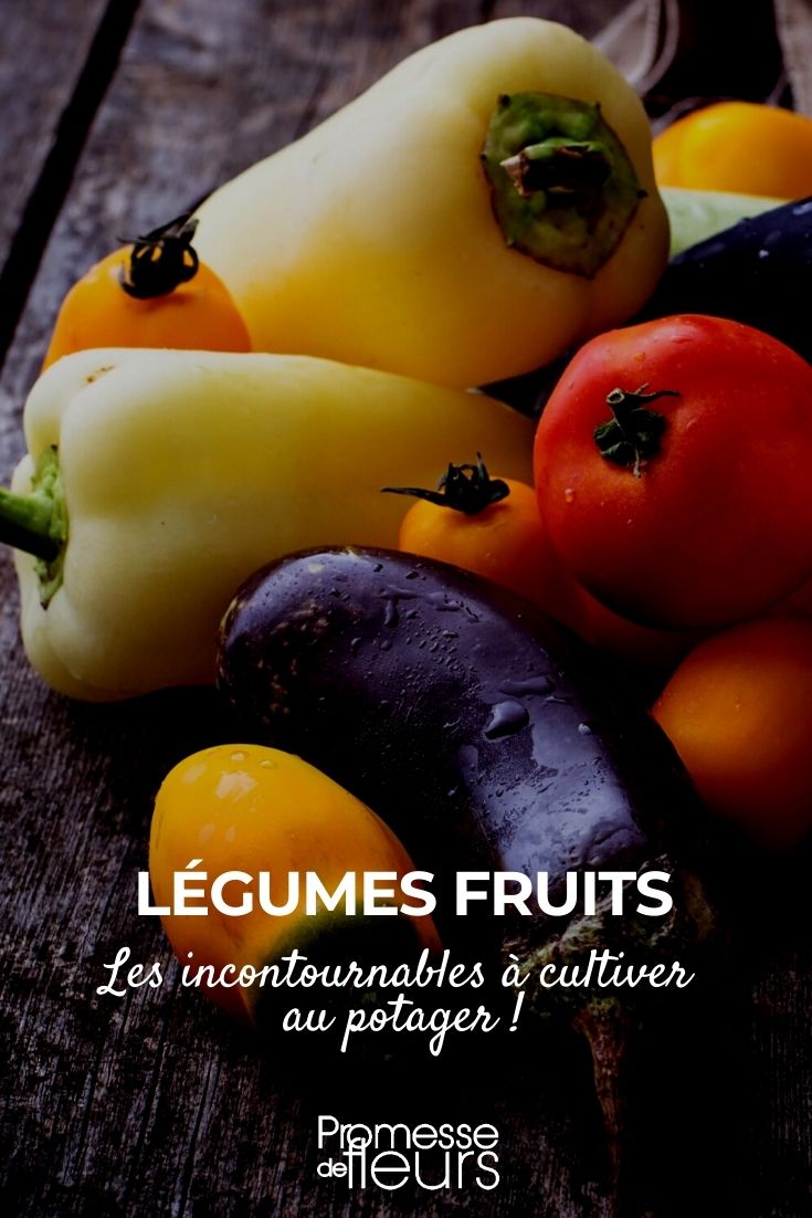 vegetable fruit