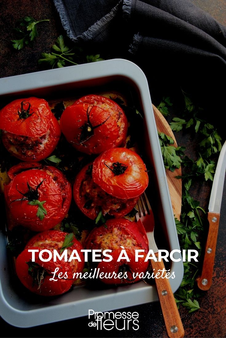 The Best Tomatoes for Stuffing