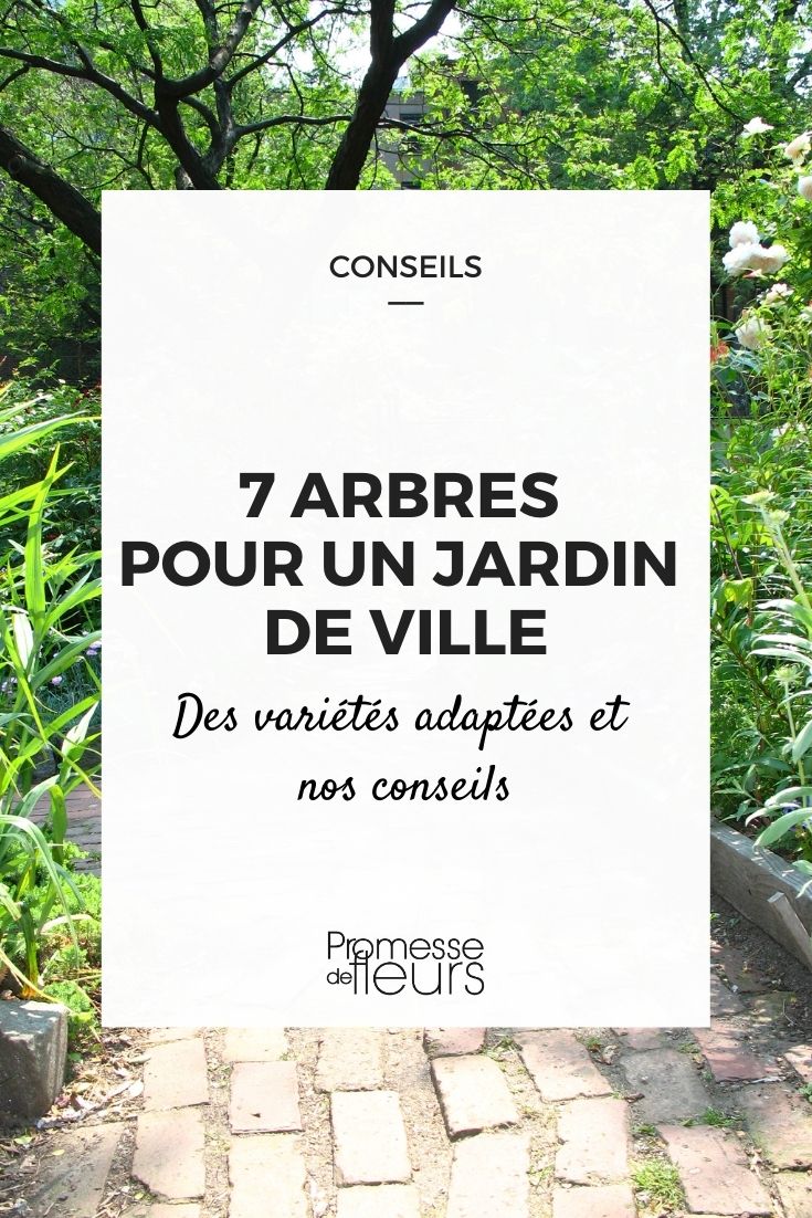 7 Trees for a City Garden 7 Trees for a City Garden